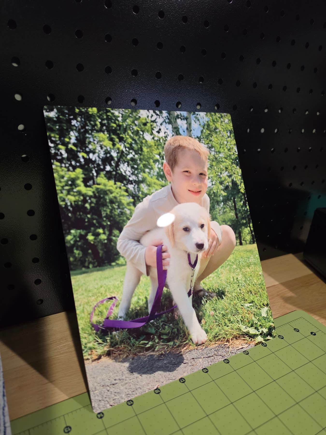 ChromaLuxe metal print of a boy and his puppy